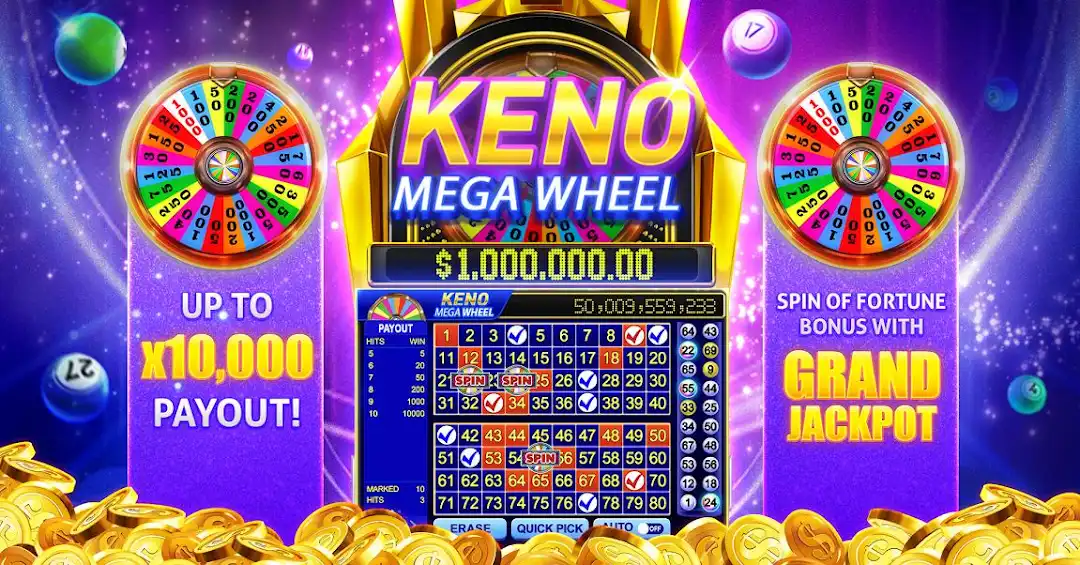 65x bet betf cassino on-line